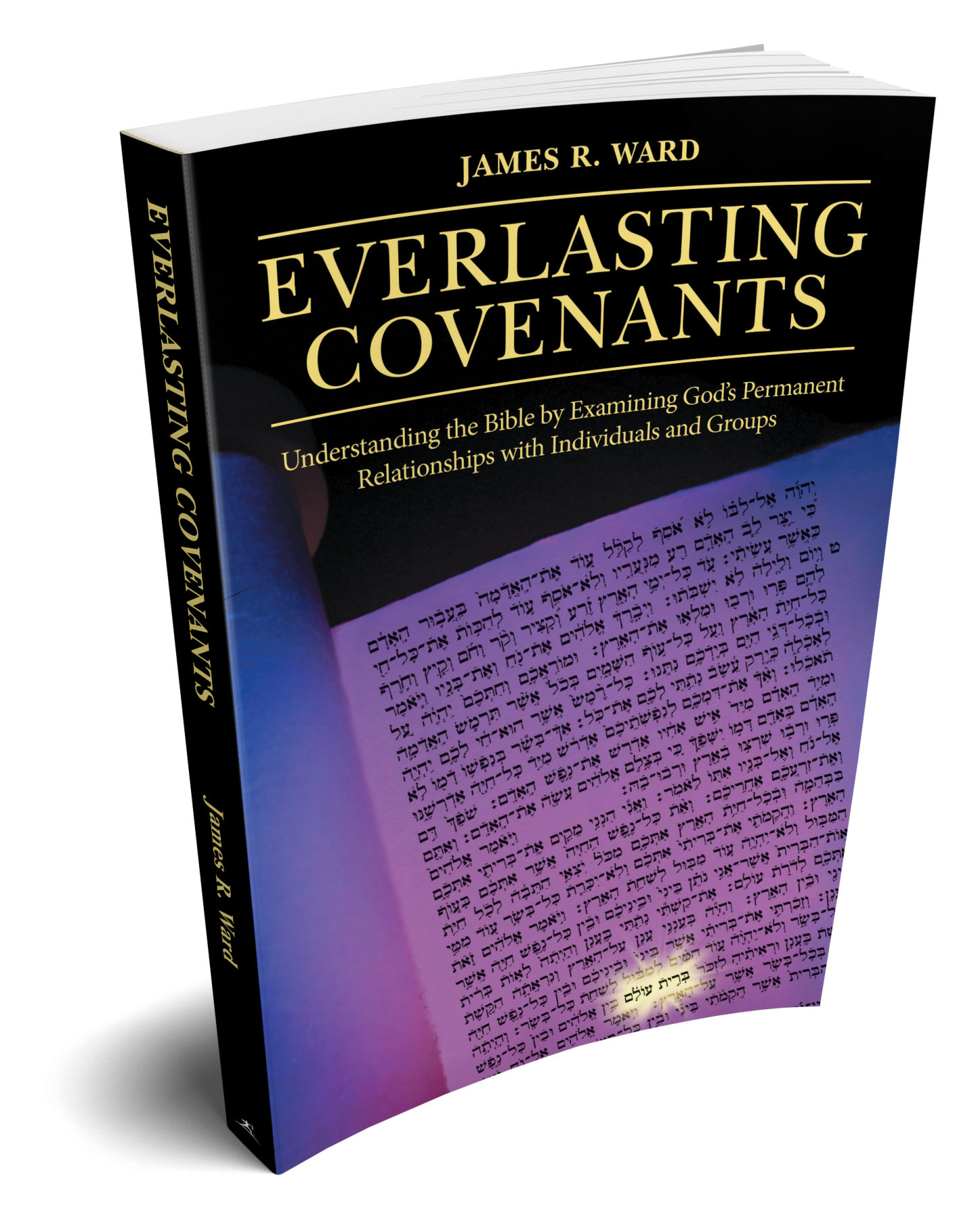 James R Edwards About the Book - James R. Ward